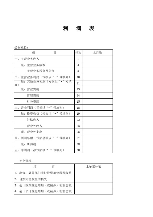 空白资产负债表及利润表