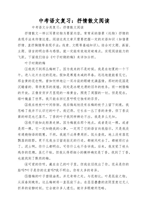 中考语文复习：抒情散文阅读