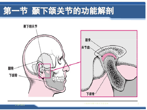 口腔科学颞下颌关节常见病课件