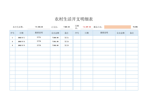农村生活开支明细表