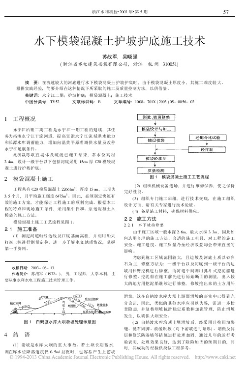 水下模袋混凝土护坡护底施工技术_苏战军