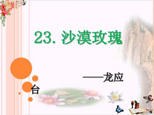 六年级语文上册第23课沙漠玫瑰精选教学PPT课件5西师大版