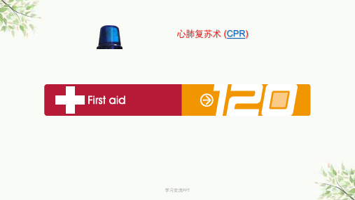 心肺复苏术(CPR)课件