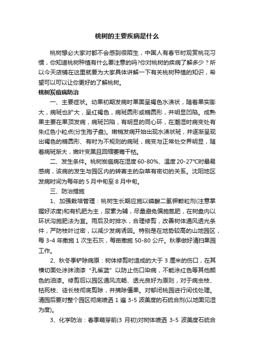 桃树的主要疾病是什么