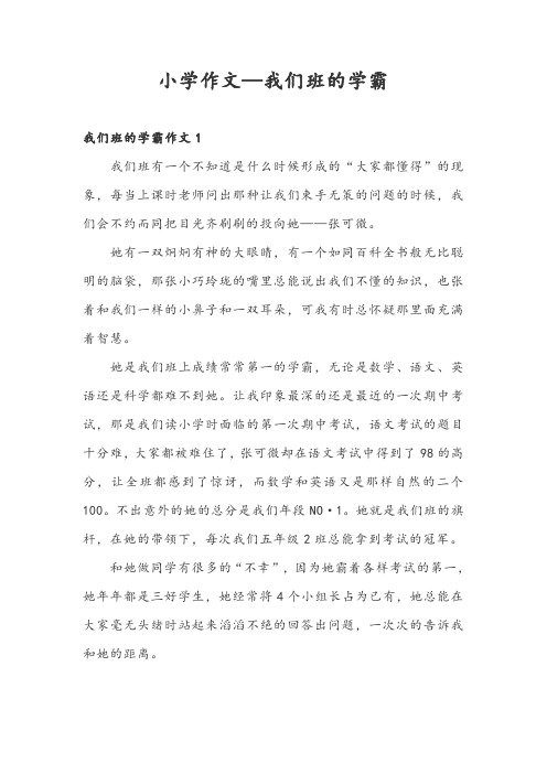 小学作文—我们班的学霸