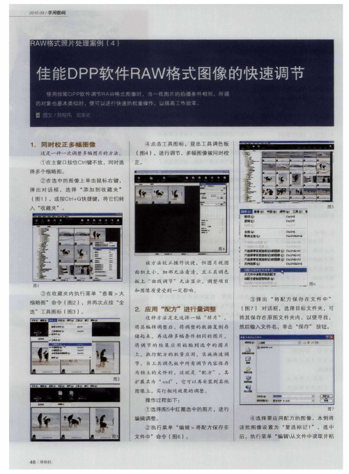 佳能DPP软件RAW格式图像的快速调节