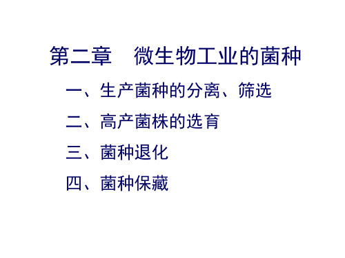 发酵工程 第2章 微生物工业的菌种