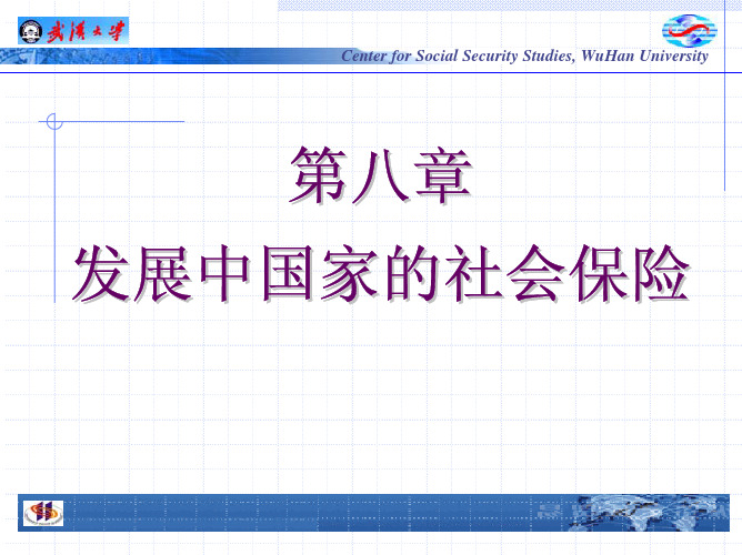 8第八章 发展中国家的社会保险