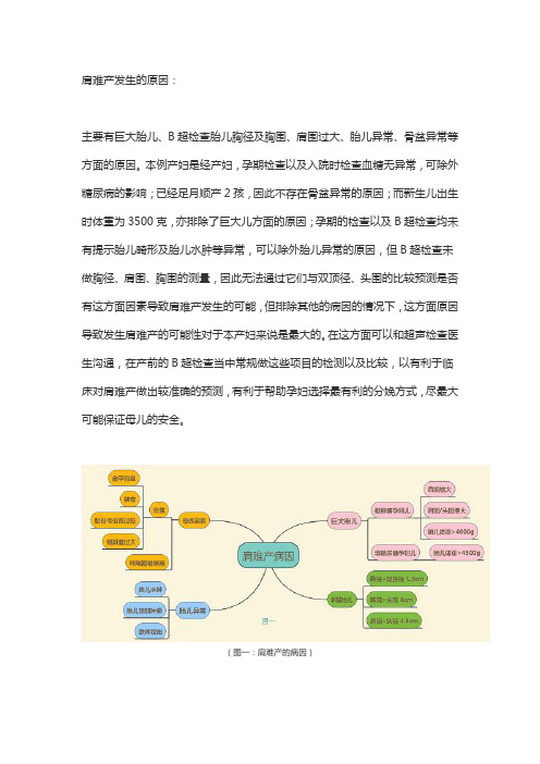 肩难产的病因分析及诊疗指南