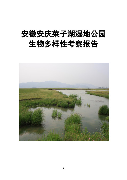 城市规划-2-安徽宜秀菜子湖湿地公园生物多样性考察报告(定稿版)