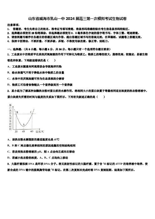 山东省威海市乳山一中2024届高三第一次模拟考试生物试卷含解析