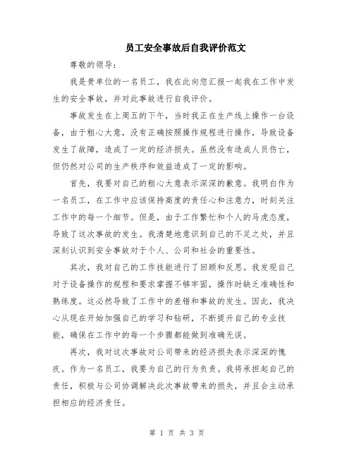 员工安全事故后自我评价范文