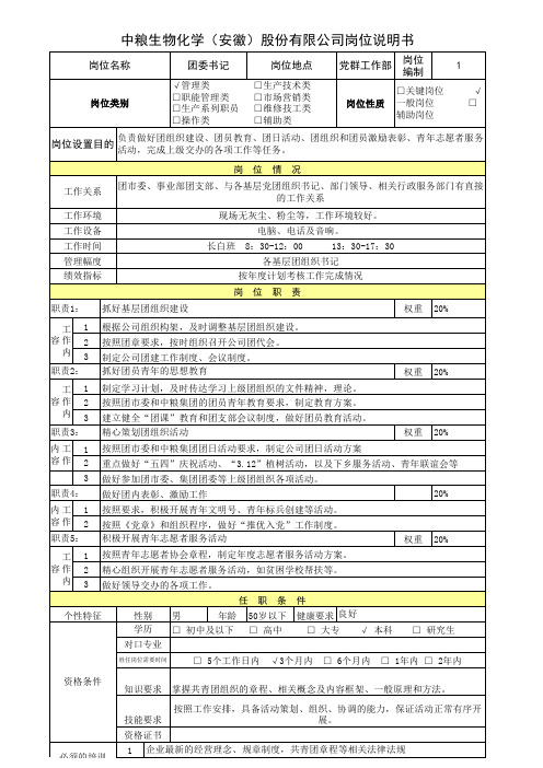 团委书记：岗位说明书