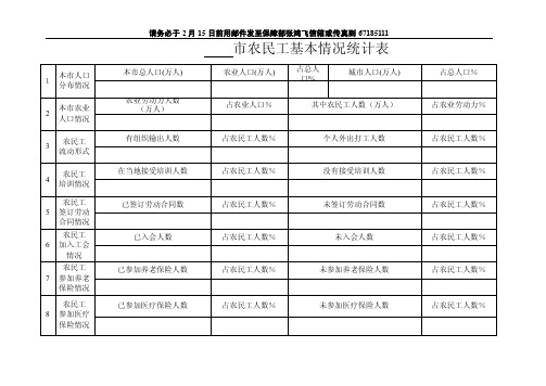 市农民工基本情况统计表