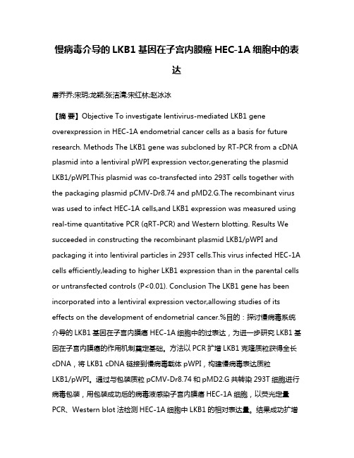 慢病毒介导的LKB1基因在子宫内膜癌HEC-1A细胞中的表达