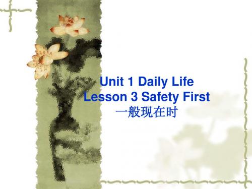 Unit 1 Daily Life Lesson 3 Safety First-一般现在时讲解2-优质公开课-北师大7下精品