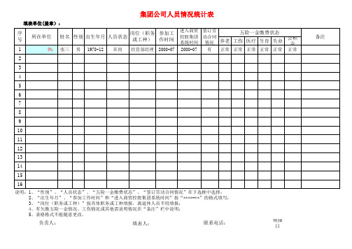 集团公司人员情况统计表模板