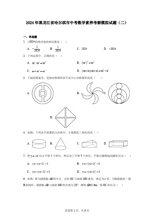 2024年黑龙江省哈尔滨市中考数学素养考察模拟试题(二)