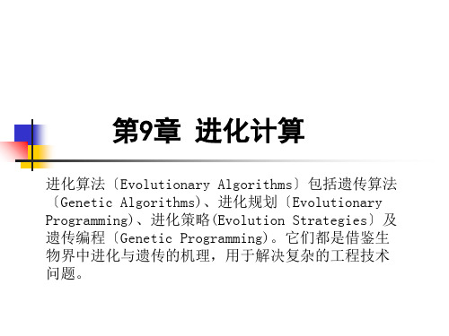 人工智能进化计算