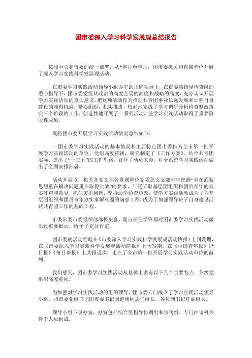 团市委深入学习科学发展观总结报告