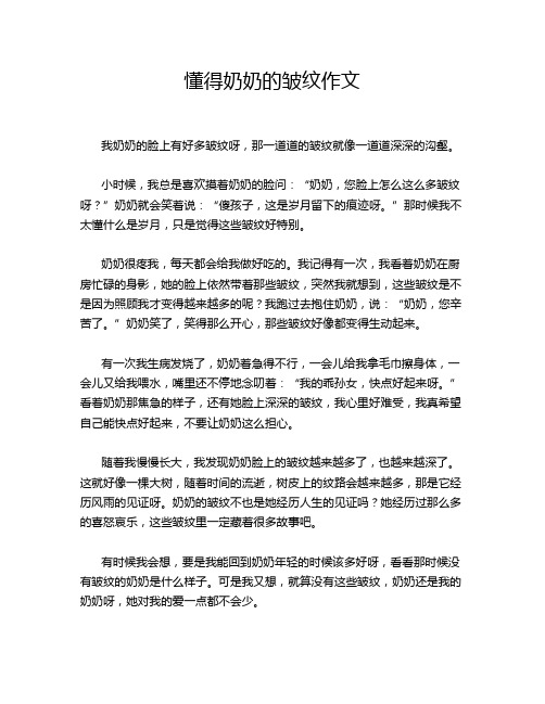 懂得奶奶的皱纹作文