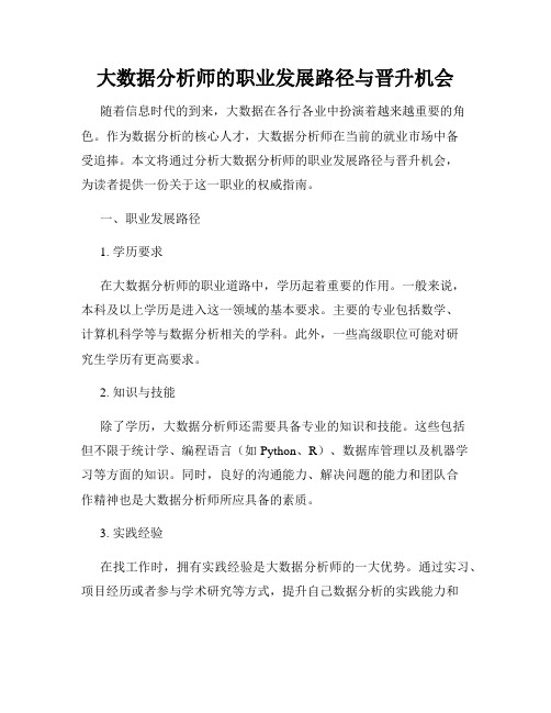 大数据分析师的职业发展路径与晋升机会