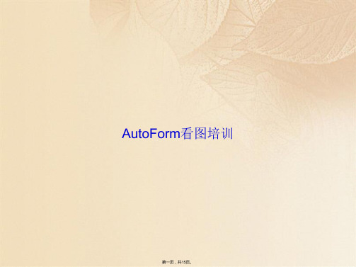 AutoForm看图培训(共15张PPT)