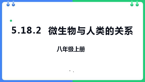 《微生物与人类的关系》PPT课件