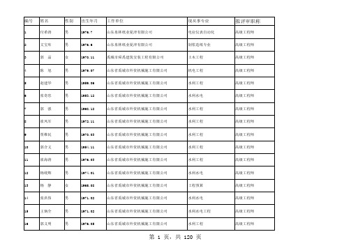2013德州工程师公示高级