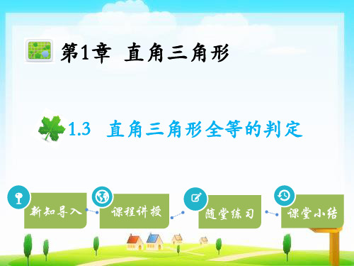 湘教版数学八年级下册教学课件PPT1.3直角三角形全等的判定
