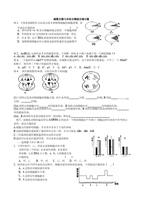 精品高考生物复习：减数分裂与有丝分裂综合练习题