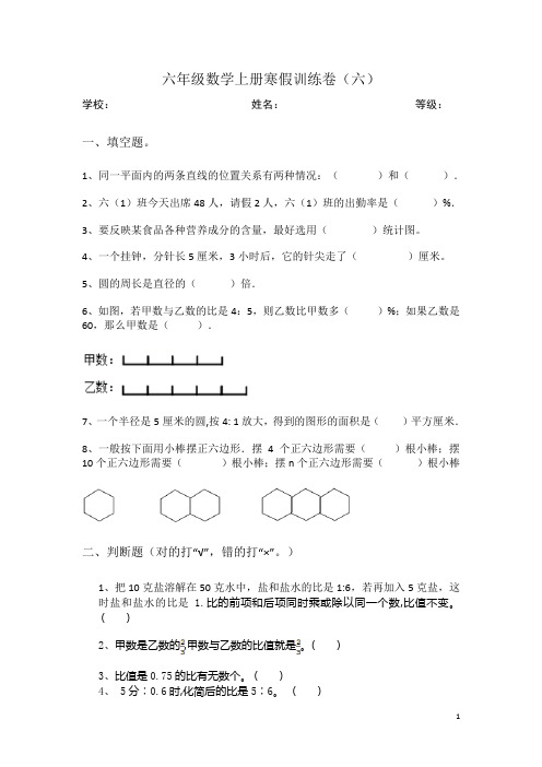 人教版六年级数学上册寒假训练卷(六)