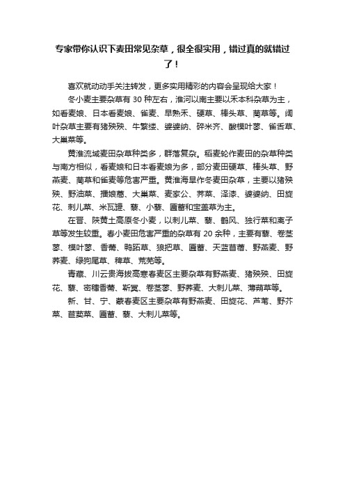 专家带你认识下麦田常见杂草，很全很实用，错过真的就错过了！