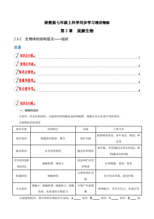 【精品讲义】浙教版 科学 7年级上册 2.3.2 生物体的结构层次——组织(学生版)