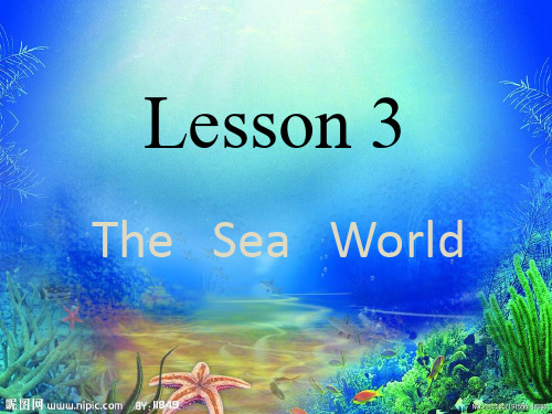 the_sea_world解读