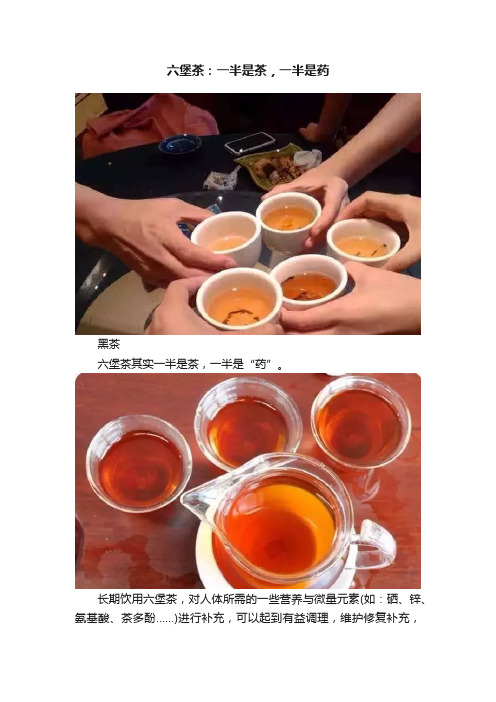 六堡茶：一半是茶，一半是药