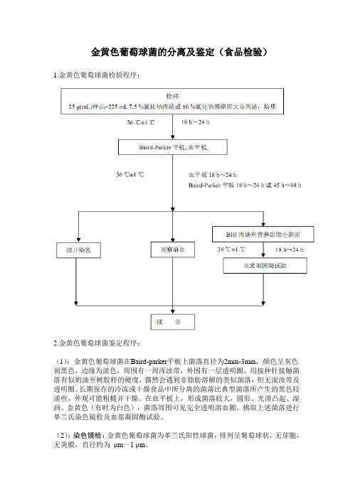 金黄色葡萄球菌的分离及鉴定