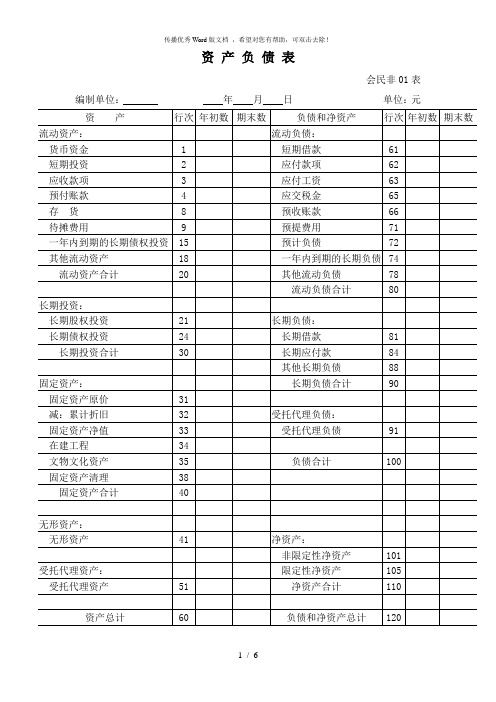 民办非企业单位财务报表