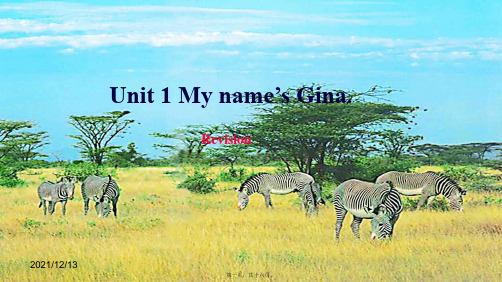 七年级英语上册 unit 1 my name’s gina复习课件 (2)