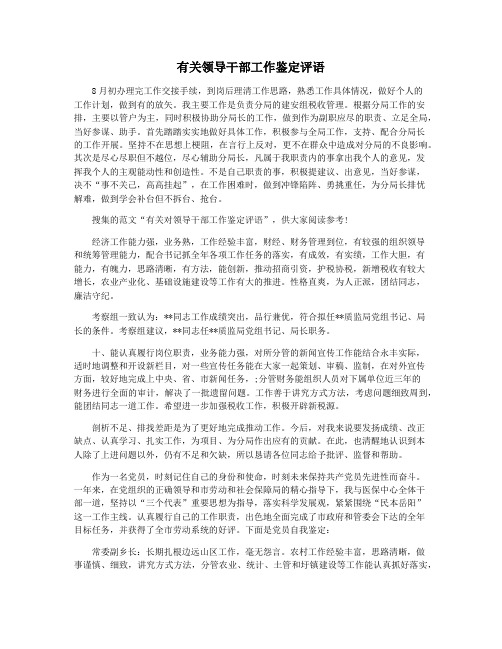 有关领导干部工作鉴定评语