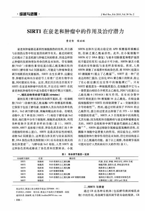 SIRT1在衰老和肿瘤中的作用及治疗潜力