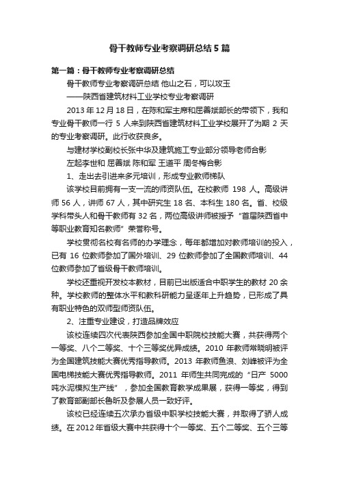 骨干教师专业考察调研总结5篇