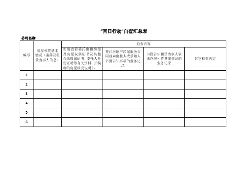 “百日行动”自查汇总表自检表格