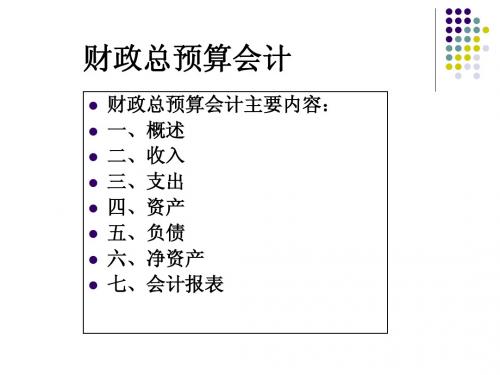 财政总预算会计