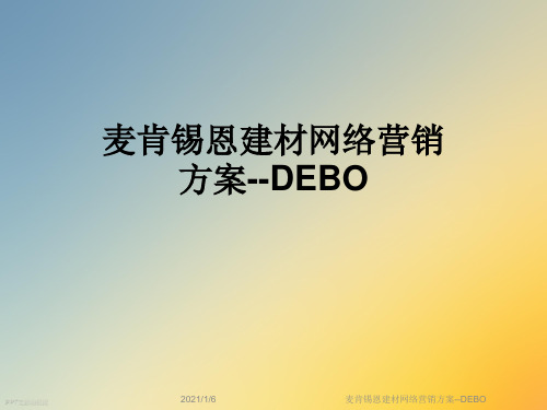 麦肯锡恩建材网络营销方案--DEBO