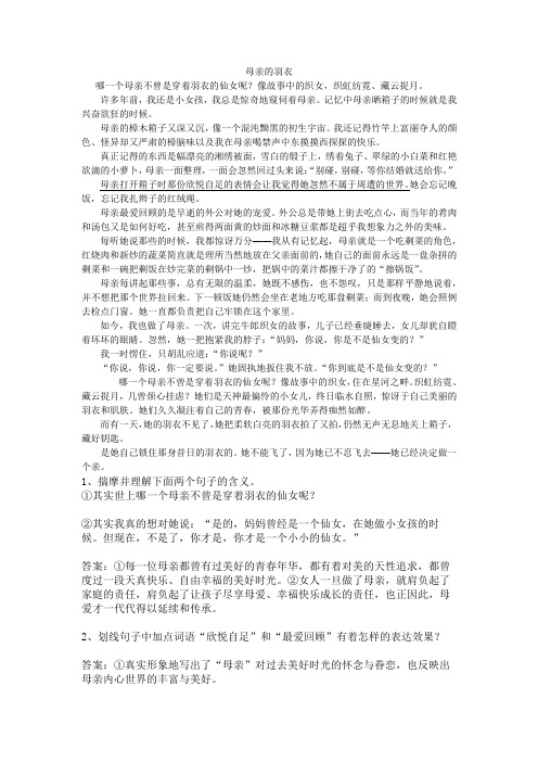 中考语文复习散文阅读：母亲的羽衣