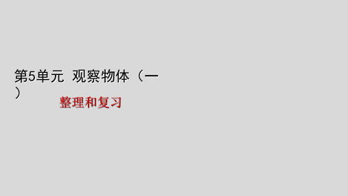 二年级上册观察物体整理和复习人教版