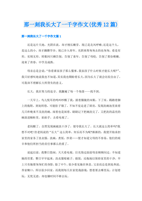 那一刻我长大了一千字作文(优秀12篇)