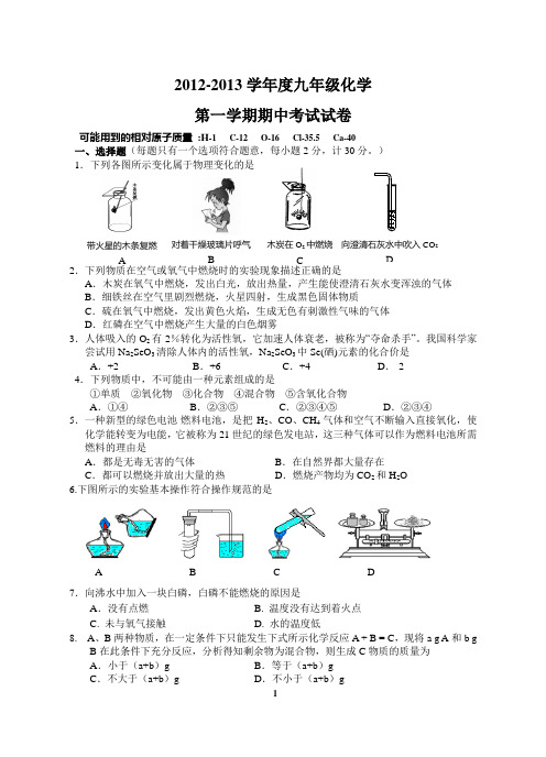 2012-2013学年度第一学期期末考试化学试卷