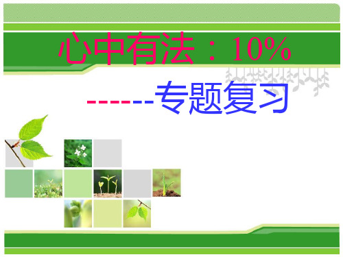 3心中有法专题复习课件人教版(内含近5年中考真题)